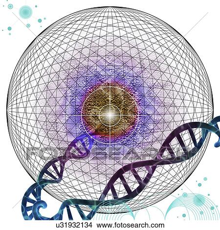 Picture - Targeted gene therapy, conceptual illustration. Fotosearch