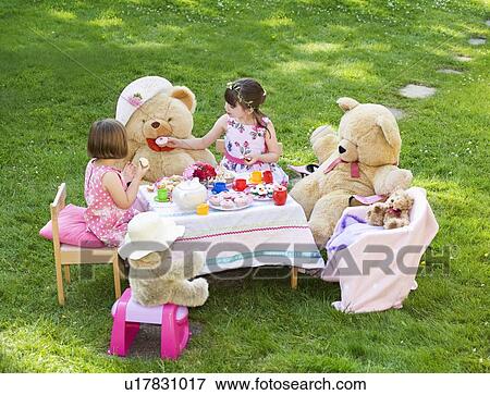 Teddy bear's picnic View Large Photo Image Stock Photo - Teddy bear's picnic. Fotosearch