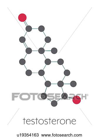 Stock Image - Testosterone male sex hormone molecule, illustration. Fotosearch