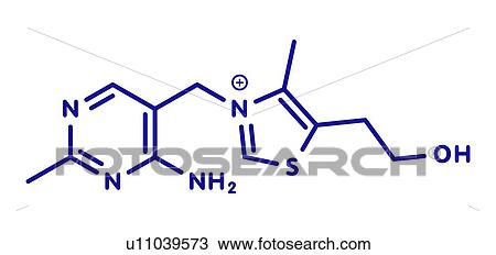 Thiamine triphosphate molecule, illustration View Large Photo Image Stock Image - Thiamine triphosphate molecule, illustration. Fotosearch