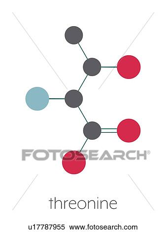 Threonine amino acid molecule, illustration View Large Photo Image Stock Photography - Threonine amino acid molecule, illustration. Fotosearch