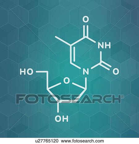 Stock Image - Thymidine nucleoside molecule, illustration. Fotosearch