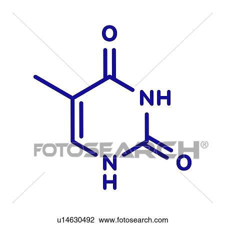 Stock Image - Thymine nucleobase molecule, illustration. Fotosearch