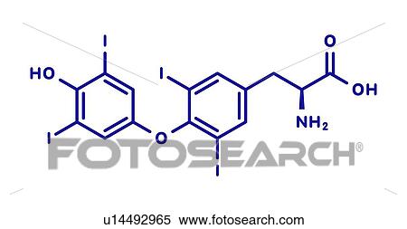 Thyroxine thyroid hormone molecule, illustration View Large Photo Image Stock Photography - Thyroxine thyroid hormone molecule, illustration. Fotosearch