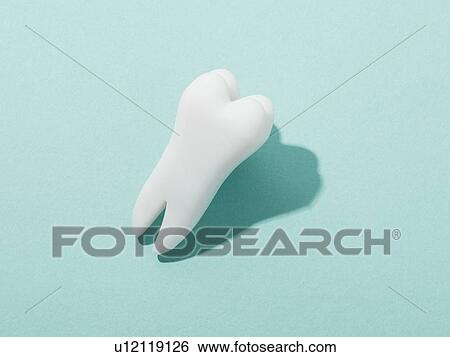 Tooth View Large Photo Image Stock Photograph - Tooth. Fotosearch