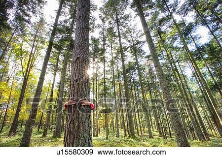 Stock Photo - Tree hugging. Fotosearch