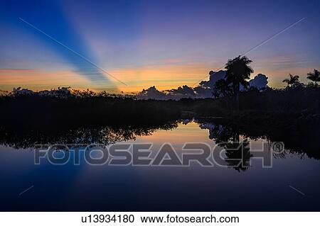 Stock Image - Trees by river at sunset in Everglades National Park, Florida, USA. Fotosearch