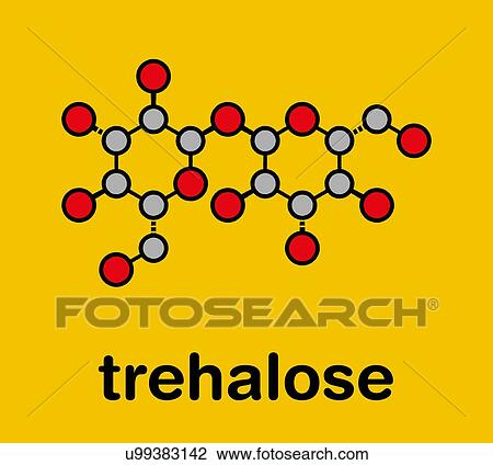 Stock Image - Trehalose sugar molecule, illustration. Fotosearch