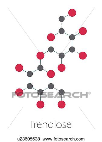 Stock Photo - Trehalose sugar molecule, illustration. Fotosearch