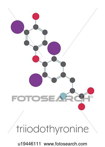 Triiodothyronine thyroid hormone molecule, illustration View Large Photo Image Stock Image - Triiodothyronine thyroid hormone molecule, illustration. Fotosearch