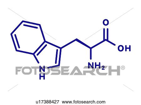 Stock Photo - Tryptophan amino acid molecule, illustration. Fotosearch