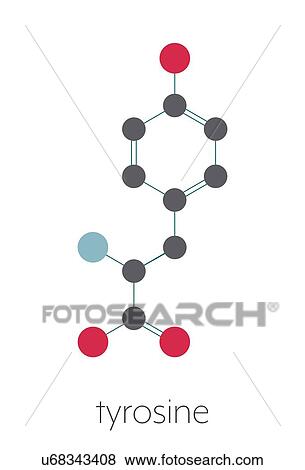 Stock Photo - Tyrosine amino acid molecule, illustration. Fotosearch