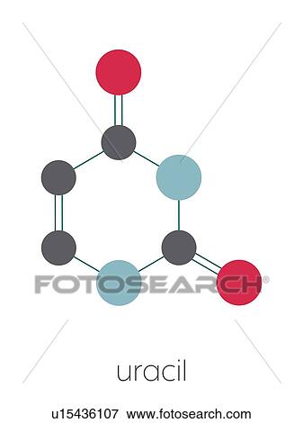 Stock Photo - Uracil nucleobase molecule, illustration. Fotosearch