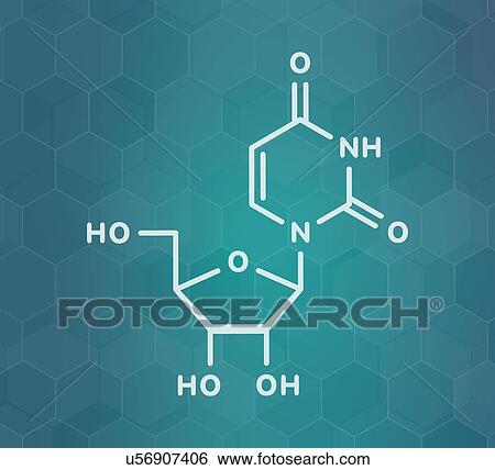 Stock Photograph - Uridine nucleoside molecule, illustration. Fotosearch
