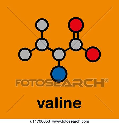 Stock Image - Valine amino acid molecule, illustration. Fotosearch