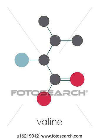 Valine amino acid molecule, illustration View Large Photo Image Stock Image - Valine amino acid molecule, illustration. Fotosearch