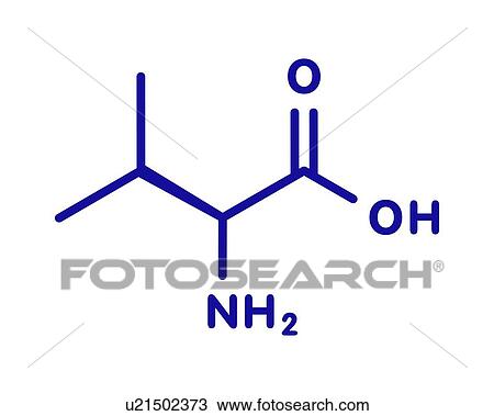 Valine amino acid molecule, illustration View Large Photo Image Stock Image - Valine amino acid molecule, illustration. Fotosearch
