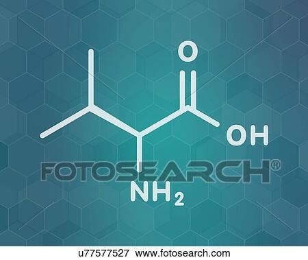 Stock Photo - Valine amino acid molecule, illustration. Fotosearch