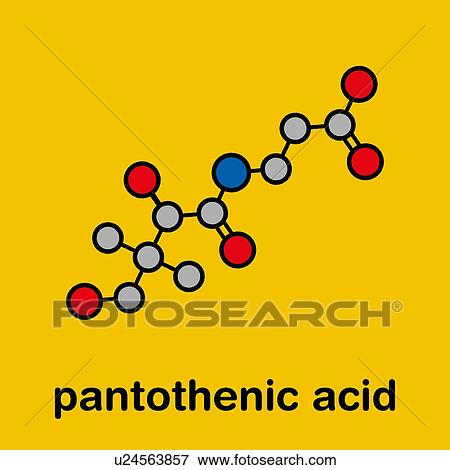 Vitamin B5 molecule, illustration View Large Photo Image Stock Photo - Vitamin B5 molecule, illustration. Fotosearch