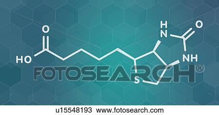Vitamin B7 molecule, illustration View Large Photo Image Stock Image - Vitamin B7 molecule, illustration. Fotosearch