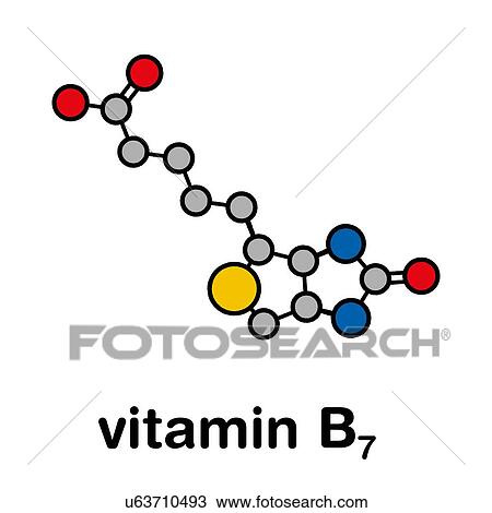 Stock Image - Vitamin B7 molecule, illustration. Fotosearch