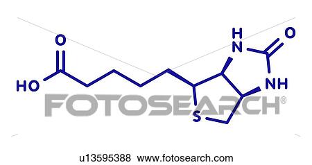Vitamin B7 molecule, illustration View Large Photo Image Stock Photo - Vitamin B7 molecule, illustration. Fotosearch