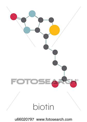Stock Photo - Vitamin B7 molecule, illustration. Fotosearch