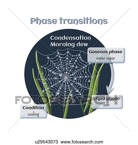 Stock Image - Water condensation, illustration. Fotosearch