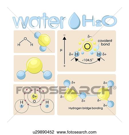 Water molecule structure, illustration View Large Photo Image Stock Image - Water molecule structure, illustration. Fotosearch
