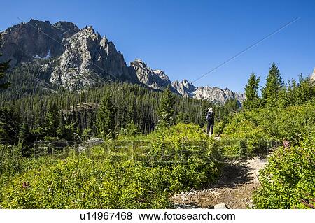 Woman hiking by Sawtooth Mountains in Stanley, Idaho, USA View Large Photo Image Stock Photo - Woman hiking by Sawtooth Mountains in Stanley, Idaho, USA. Fotosearch