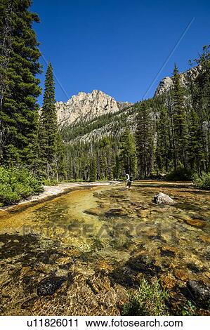 Stock Image - Woman wading through river by Sawtooth Mountains in Stanley, Idaho, USA. Fotosearch
