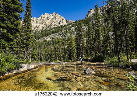 Woman wading through river by Sawtooth Mountains in Stanley, Idaho, USA View Large Photo Image Stock Image - Woman wading through river by Sawtooth Mountains in Stanley, Idaho, USA. Fotosearch