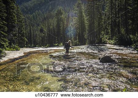 Stock Photo - Woman wading through river by Sawtooth Mountains in Stanley, Idaho, USA. Fotosearch