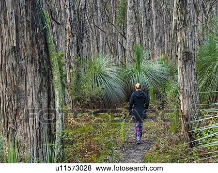 Stock Photo - Woman walking in forest in South Australia, Australia. Fotosearch