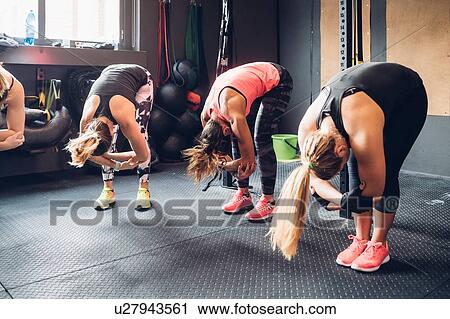 Women training in gym, bending forward View Large Photo Image Stock Image - Women training in gym, bending forward. Fotosearch