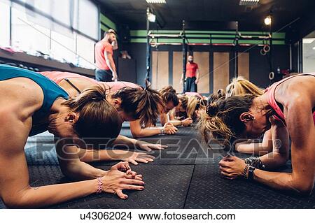 Women training in gym with male trainers, doing push ups View Large Photo Image Picture - Women training in gym with male trainers, doing push ups. Fotosearch