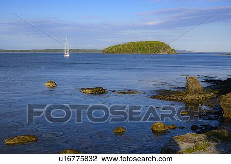 Stock Image - Yacht in Bar Harbor, Mount Desert Island, USA. Fotosearch
