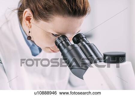 Young female archaeologist with microscope View Large Photo Image Stock Photograph - Young female archaeologist with microscope. Fotosearch