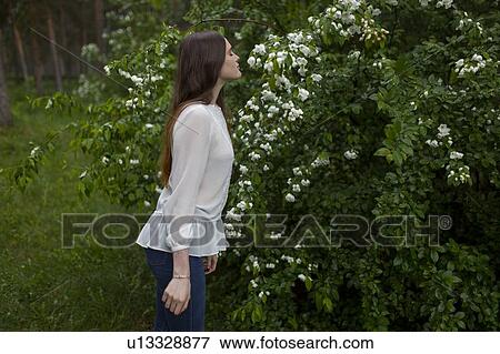Young woman smelling flowers View Large Photo Image Stock Photo - Young woman smelling flowers. Fotosearch