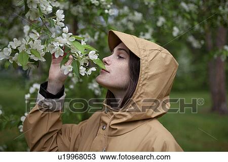 Young woman wearing brown raincoat sniffing flower View Large Photo Image Stock Image - Young woman wearing brown raincoat sniffing flower. Fotosearch