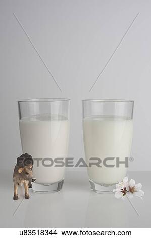 A glass of cow milk and a glass of almond milk View Large Photo Image Picture - A glass of cow milk and a glass of almond milk. Fotosearch