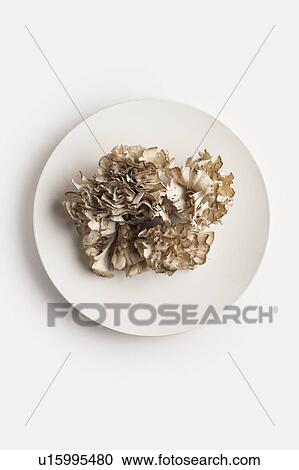Stock Image - A plate of maitake mushrooms. Fotosearch
