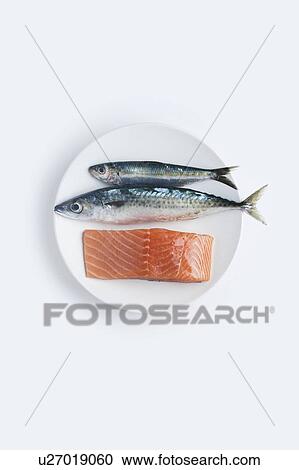 A plate of raw mackerel, sardine and salmon View Large Photo Image Stock Image - A plate of raw mackerel, sardine and salmon. Fotosearch