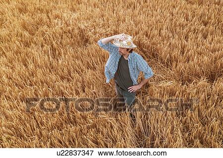 Stock Photo - Aerial view of farmer standing in wheat field. Fotosearch