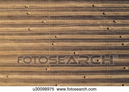 Stock Photography - Aerial view of hay bales in field after harvest. Fotosearch