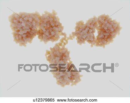 Stock Photography - Antibody, illustration. Fotosearch