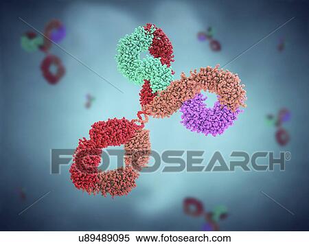 Stock Photography - Antibody, illustration. Fotosearch
