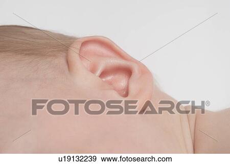 Stock Photo - Baby (6-12 months) close up of ear. Fotosearch