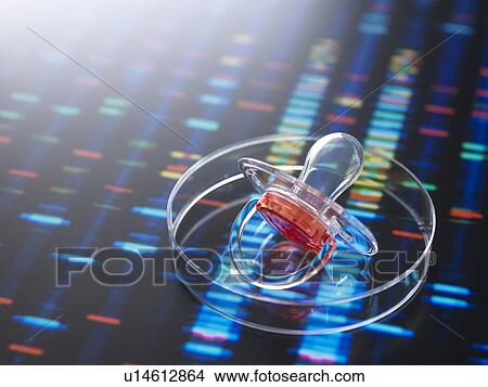 Picture - Baby soother in petri dish to illustrate baby next to human DNA profile. Fotosearch