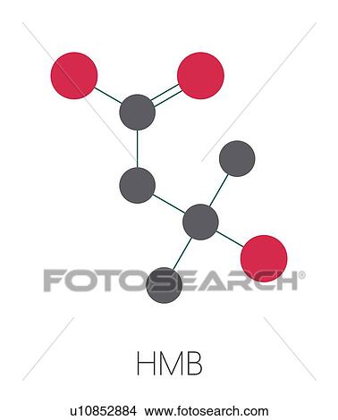 Beta-hydroxy beta-methylbutyric acid molecule, illustration View Large Photo Image Picture - Beta-hydroxy beta-methylbutyric acid molecule, illustration. Fotosearch